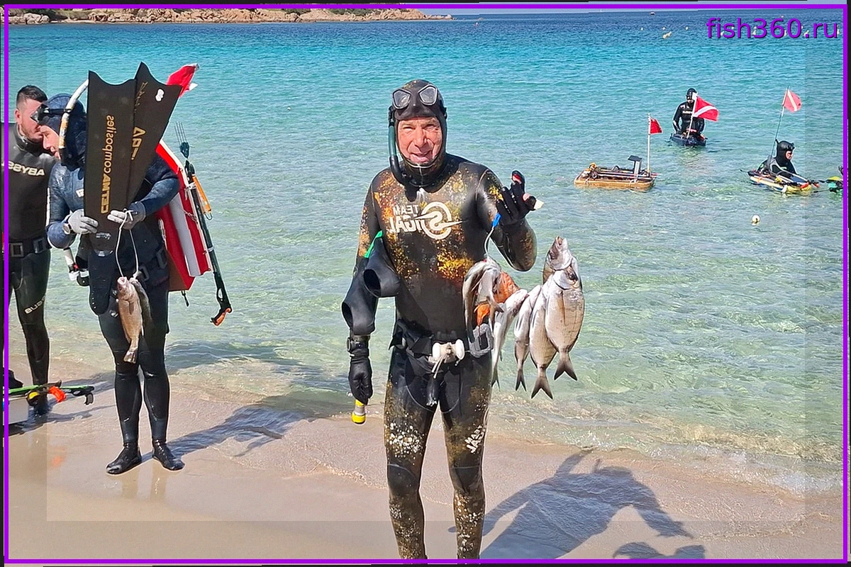 Приветствуем Экспертов