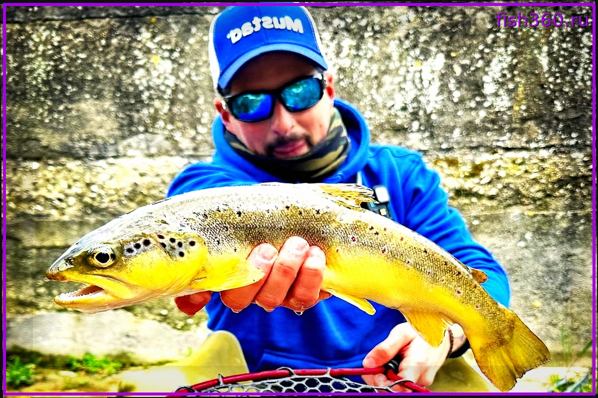 Королевы Апеннин: Рыбалка на дикую форель в сердце Италии