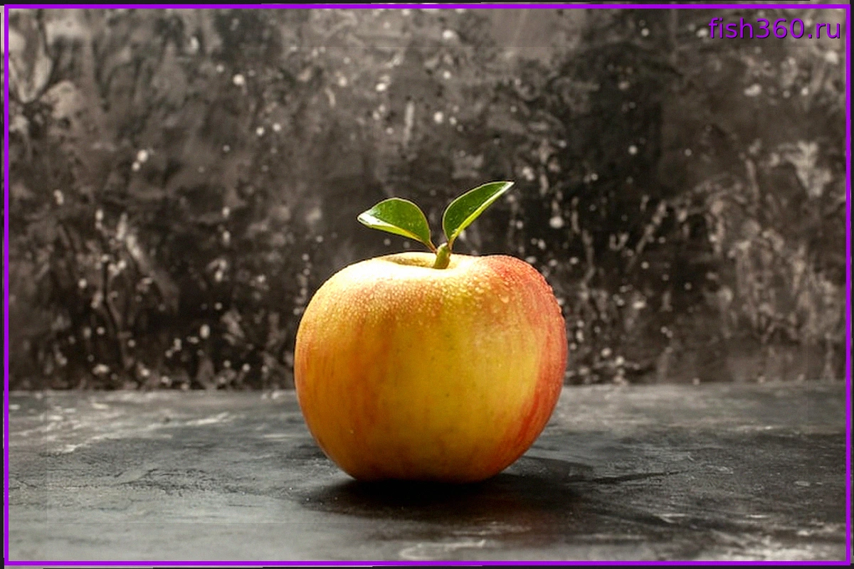 Презентация обновлений Siri на конференции Apple