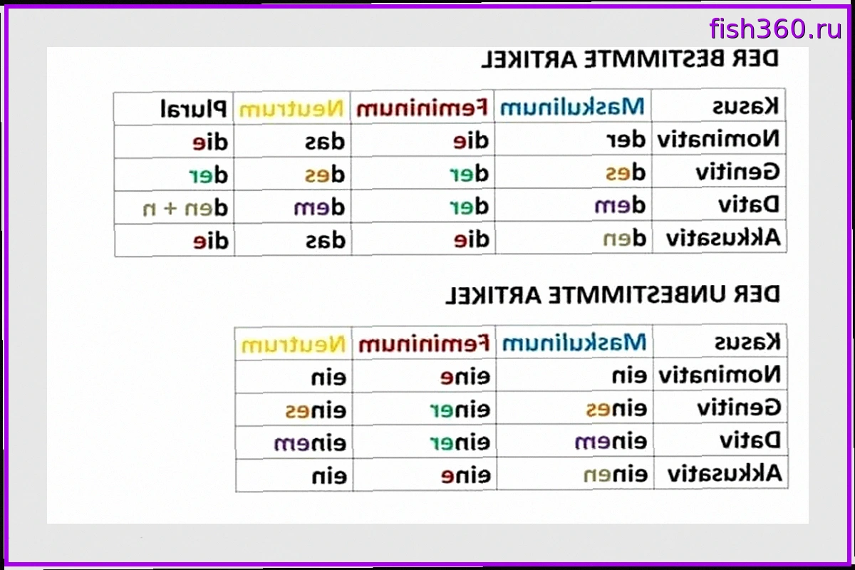 Отчет о путешествии: По следам волков