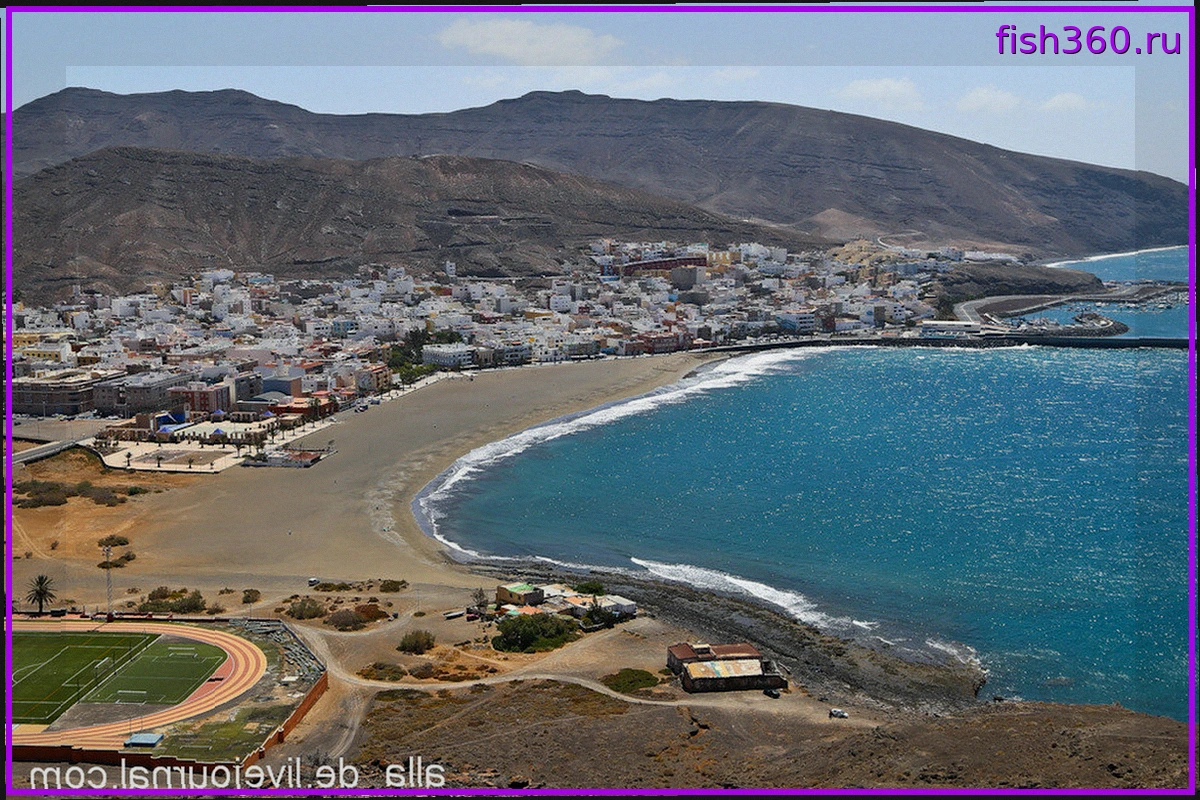 Отдых на Фуэртевентуре: Ищем Советы по Гран-Тарахалю и Рыбалке