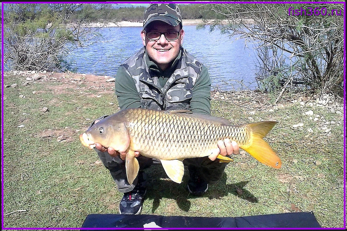 Пионеры и Новички в Карпфишинге